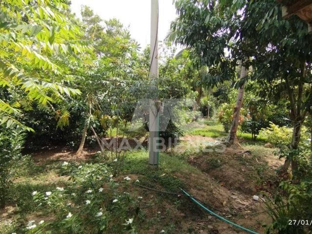 place photo 11
