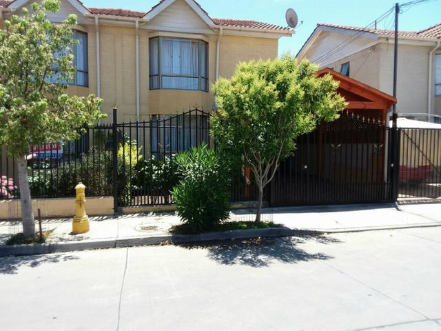 place photo 16