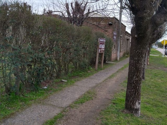 place photo 21
