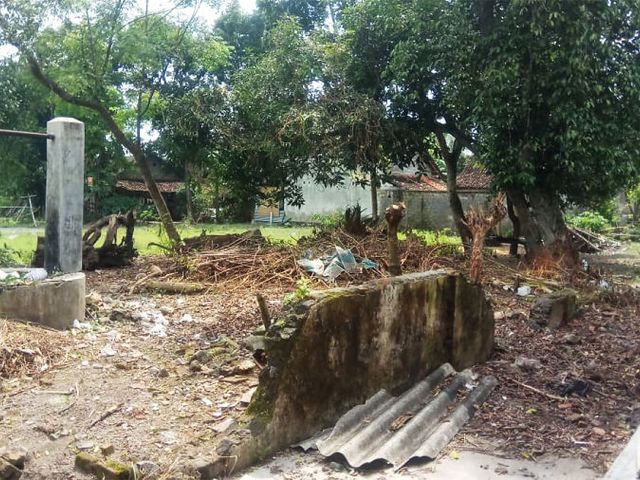 place photo 5