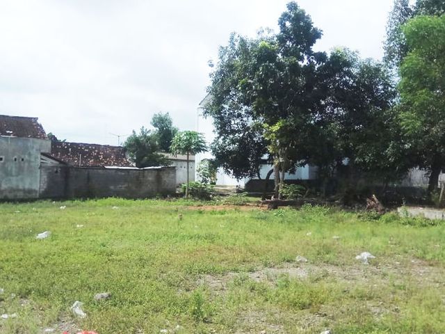 place photo 4