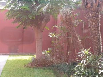 place photo 33