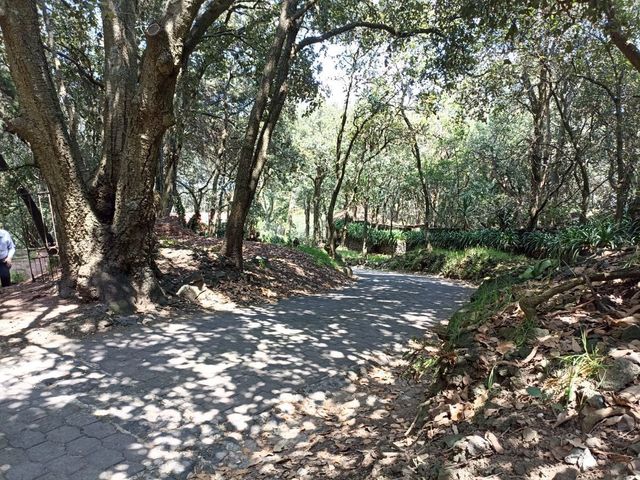 place photo 9