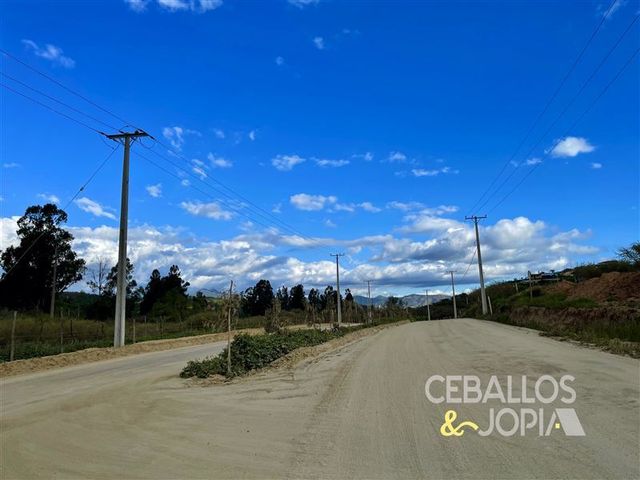 place photo 50