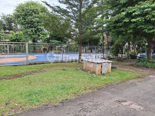 place photo 19
