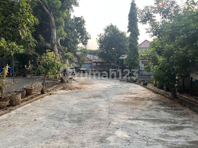 place photo 16