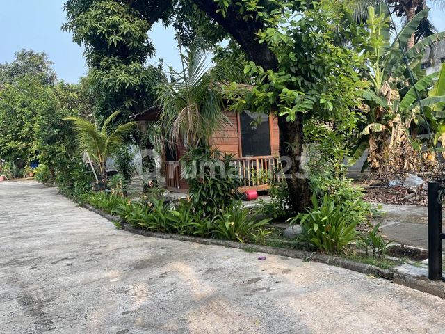 place photo 15