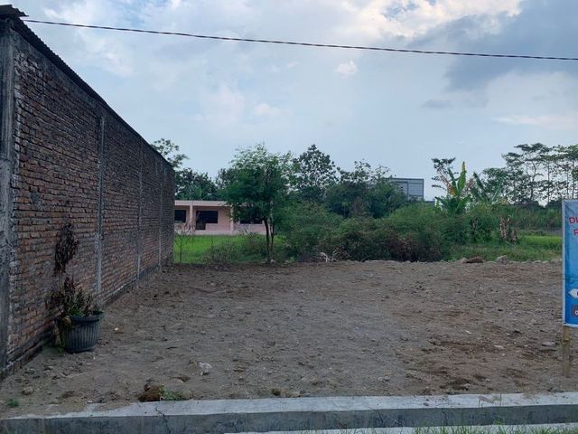 place photo 5