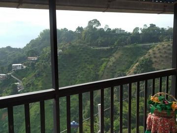 place photo 29