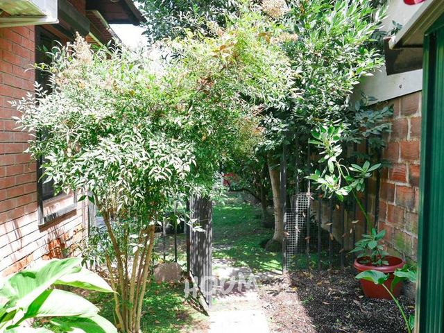 place photo 51