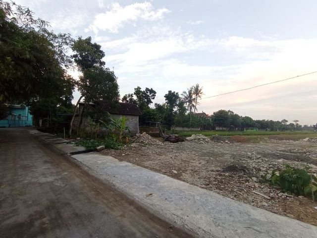 place photo 6