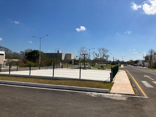 place photo 14