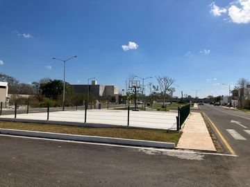 place photo 14