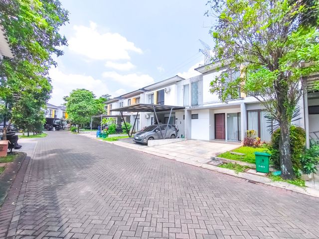 place photo 29