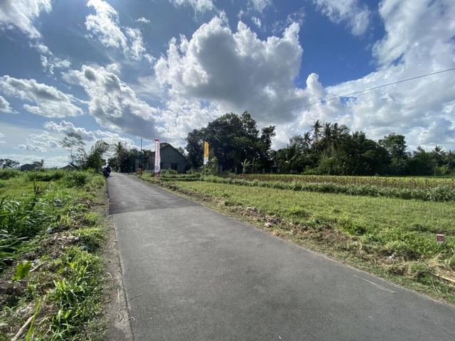 place photo 5