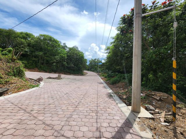 place photo 33