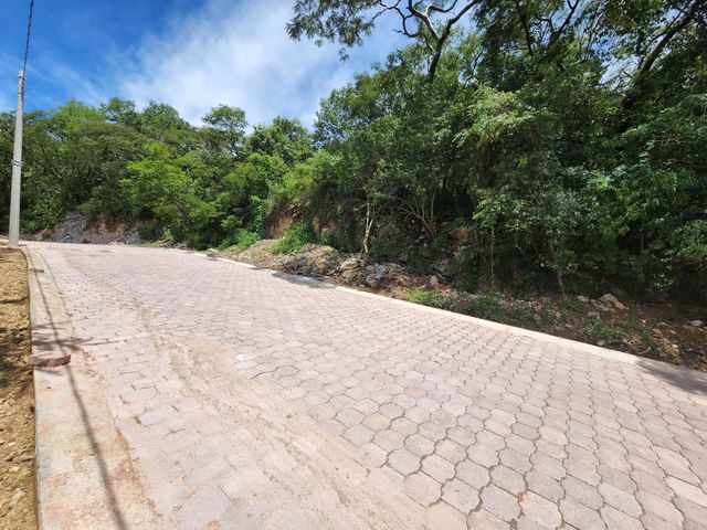place photo 22