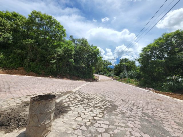 place photo 31