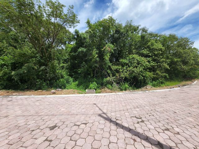 place photo 36