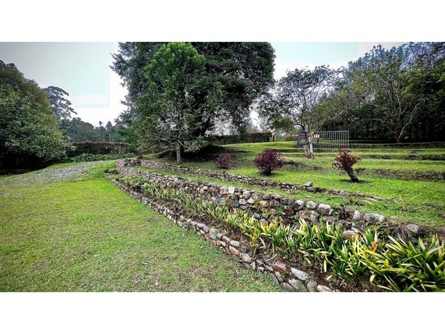 place photo 47