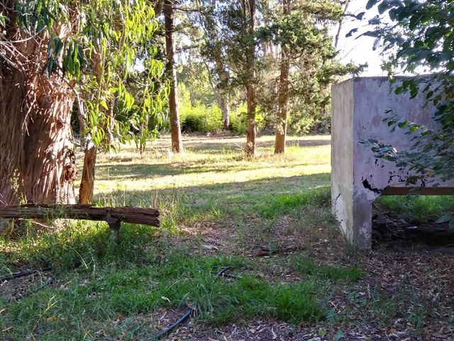 place photo 33