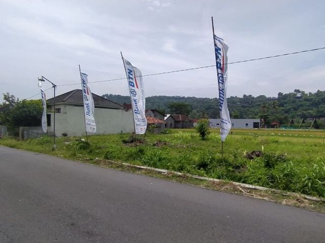 place photo 8