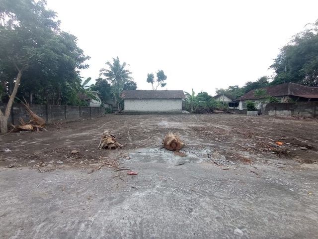 place photo 2