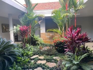 place photo 23