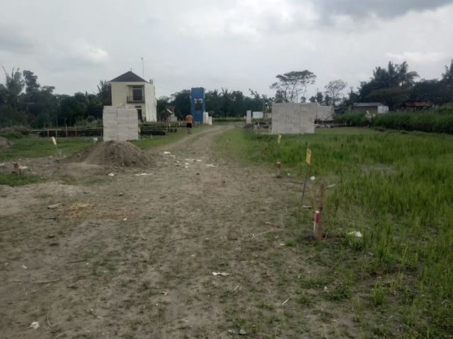 place photo 6