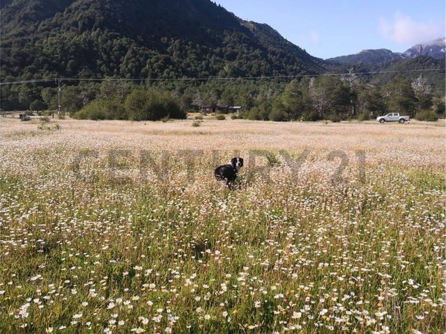 place photo 10