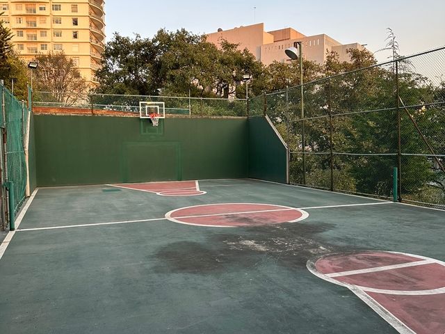 place photo 26