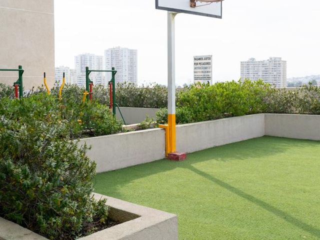 place photo 44