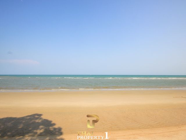 place photo 38