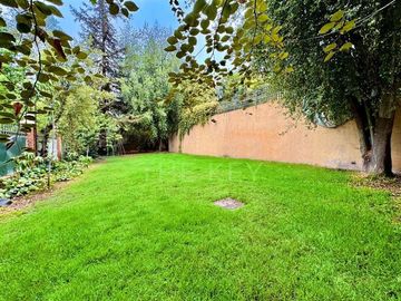 place photo 47