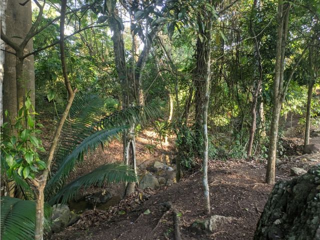 place photo 17