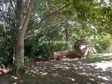 place photo 36