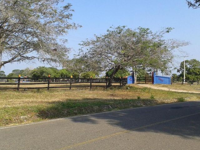 place photo 22