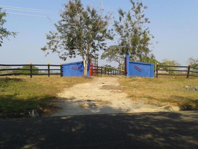 place photo 23