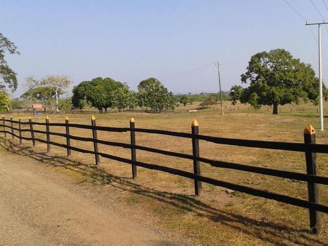 place photo 18