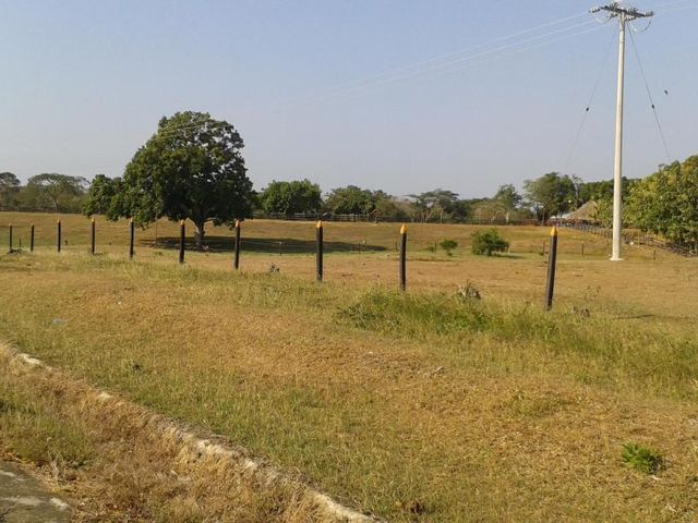 place photo 28