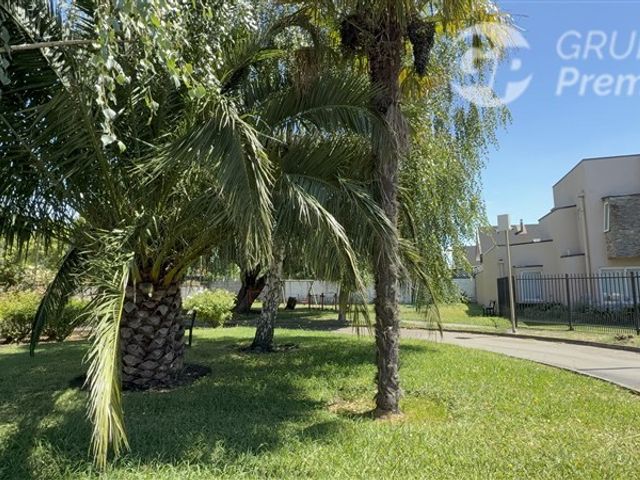 place photo 63