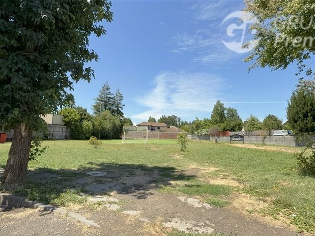 place photo 61
