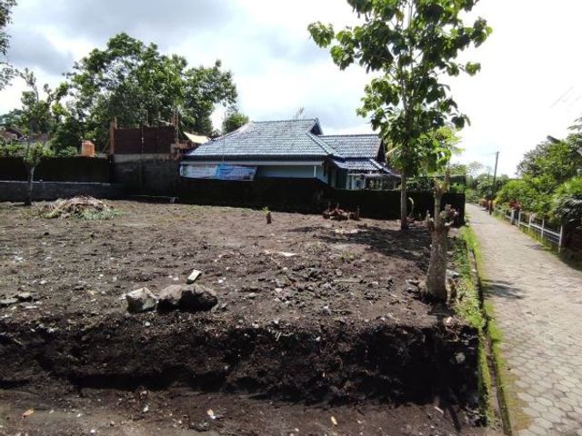 place photo 10