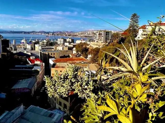 place photo 36