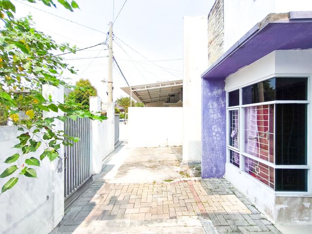 place photo 19
