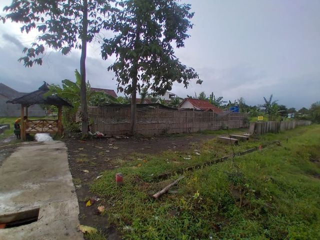 place photo 3
