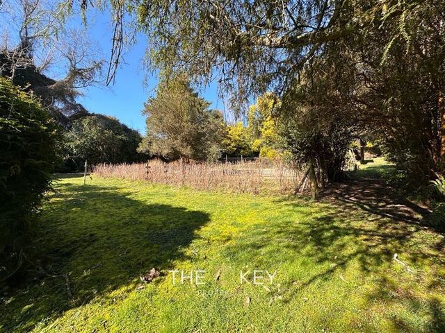 place photo 46