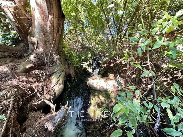 place photo 49