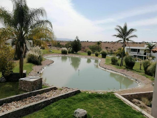 place photo 40