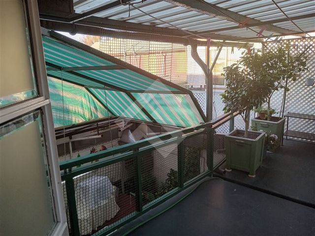 place photo 40